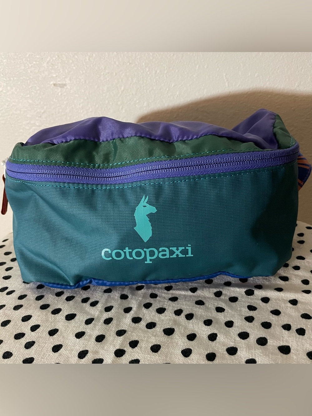 cotopaxi Teal, Purple & Dark Green Colorblock Crossbody Pouch